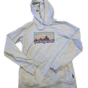 Patagonia Light Blue Organic Cotton Hoodie Size SMALL
